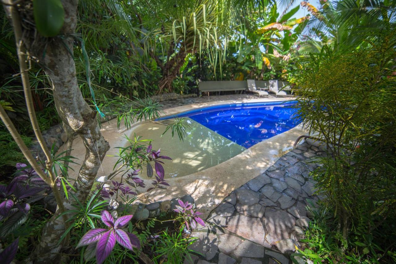 Villas Oasis マヌエル・アントニオ エクステリア 写真